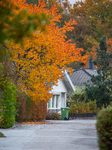 Autumn In Linkoping