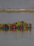 Daily Life In Kashmir, India