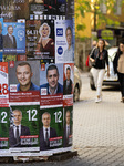 Pre-election Campaign Posters