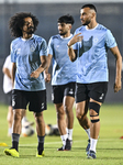 AFC Champions League Elite,Al Sadd SC Press Conference And Training 