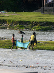 Children Catches Fish In Mahananda