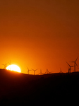 Wind Farm In Basilicata At Sunset