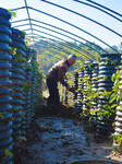 Agricultural Three-dimensional Planting.