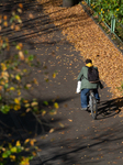 Autumn Weather In Cologne