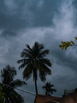 Cyclone Dana - Severe Cyclonic Storm