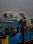 Rain In Dhaka