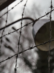 A Detail Of The Wire Fence Of The Nazi Concentration Camp Of Dachau