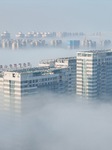 Advection Fog Hit Yantai.