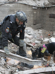 SAR dogs at work after Russian missile attack on Dnipro.