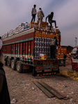 Apple Business In Kashmir 