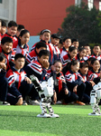 AI Education in Chinese Primary Schools