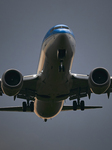 Boeing 737 Max Neos Air Landing At Sunset In Bari Airport