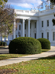 White House Grounds Before Election Day