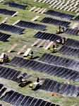 Farmers Dry Laver in Fuzhou.