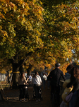 Autumn In Krakow