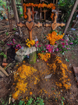 Cemetery Del Carmen Is Decorated Whit Cempaschil Flowers For Day Of The Dead