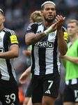 Newcastle United FC v Arsenal FC - Premier League