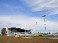 Thoroughbred Horse Racing At Woodbine Racetrack