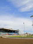 Thoroughbred Horse Racing At Woodbine Racetrack