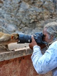 Tourists At Shrine Galta Ji Temple In Jaipur 