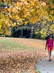 Toronto Breaks 65-year-old Temperature Record