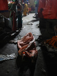 Last Day Of Chhath Puja Festival In Kolkata, India