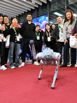 Robot Perform at 7TH CIIE in Shanghai.