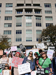 Women's Rights Protest In Washington After Election