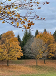 Autumn Season In Toronto, Canada