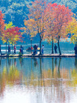 Zhongshan Botanical Garden in Nanjing.