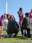 Fiorentina v Verona - Serie A