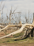 Villa Epecuén, Flooded Town In Buenos Aires