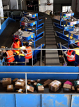 Express Logistics Sorting Transportation