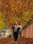 Autumn Season In Kashmir