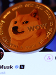 DOGE Photo Illustrations