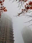 Heavy Fog Hit Jilin.