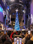 Christmas Tree - Toronto, Canada