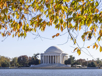 Thomas Jefferson Memorial In Washington DC