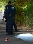 NYPD Evidence Collection Team At Scene Of 28-year-old Man Shot In The Brownsville Section Of Brooklyn New York City