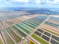 Salt Field in Cangzhou.