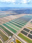 Salt Field in Cangzhou.