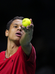 Davis Cup Final - Germany v Canada Quarter-Final