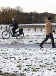 Snowfall In The Netherlands