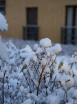 First Snow In Warsaw