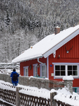 ​F​irst Snowfall Has Brought Winter To Bavaria