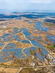 Rural Barren Hills PV Power Array Area.