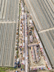 Perspective Of Worker Housing In Brick Factory