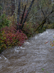 Atmospheric River Brings Rain And Flooding To Northern California