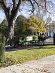 The Official White House Christmas Tree Arrived At The White House 