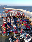 Fishing Boats Avoid Cold Wave.